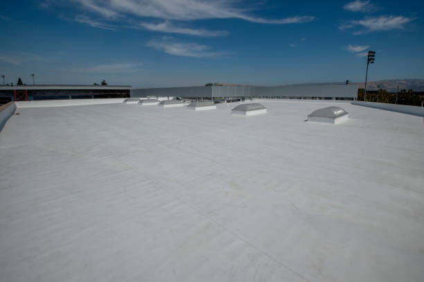 Best Roof Coating and Sealing  in Greenfield, MO