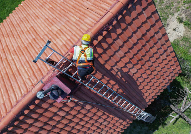 Best Chimney Flashing Repair  in Greenfield, MO